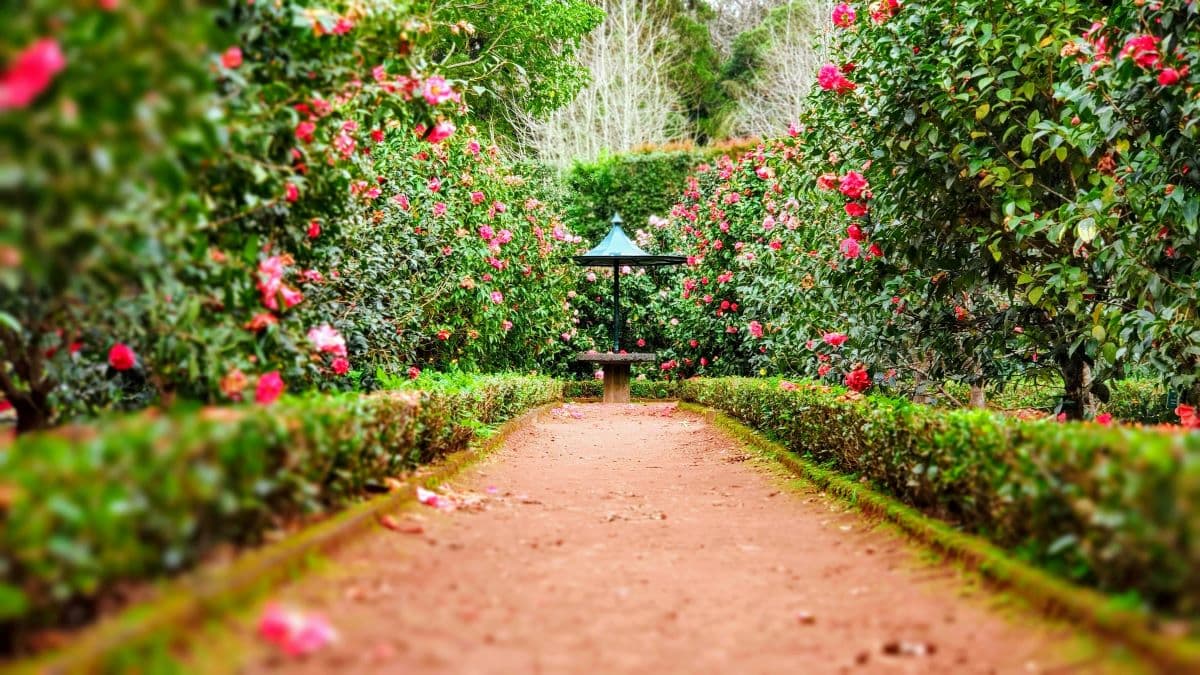 May Gardens