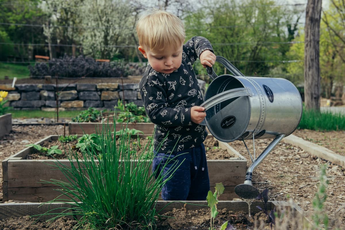 August Garden Jobs