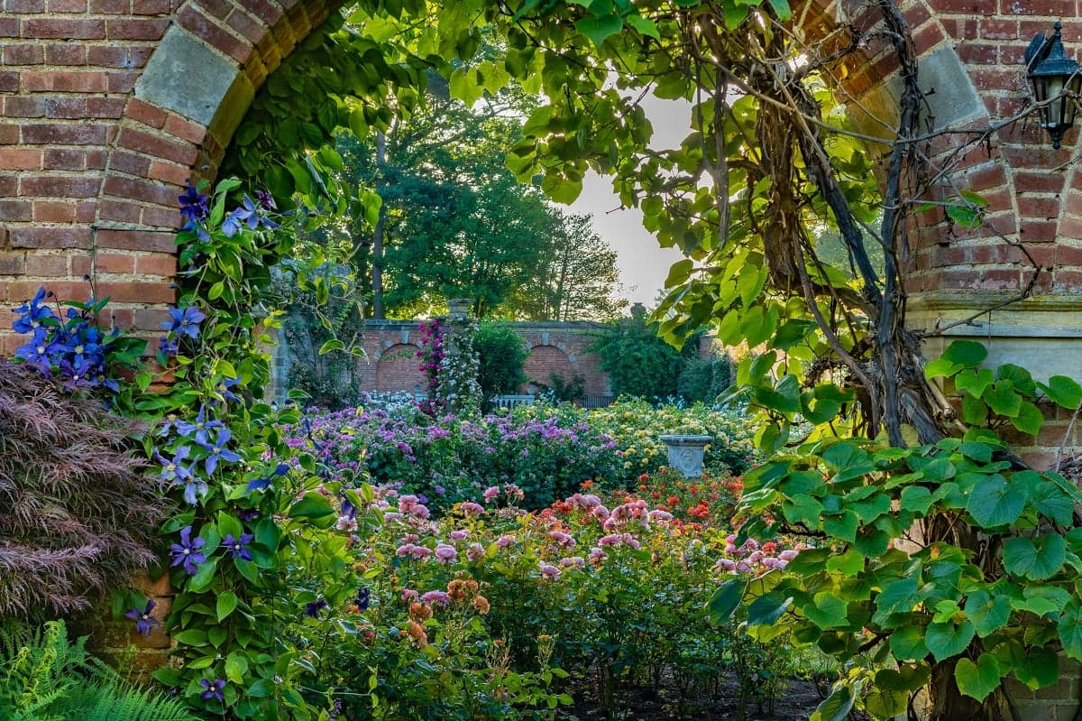Hever castle gardens