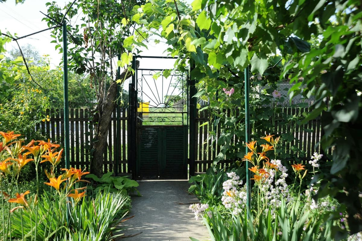 Garden Fence Ideas: Styles, Costs and Planting for Every UK Garden