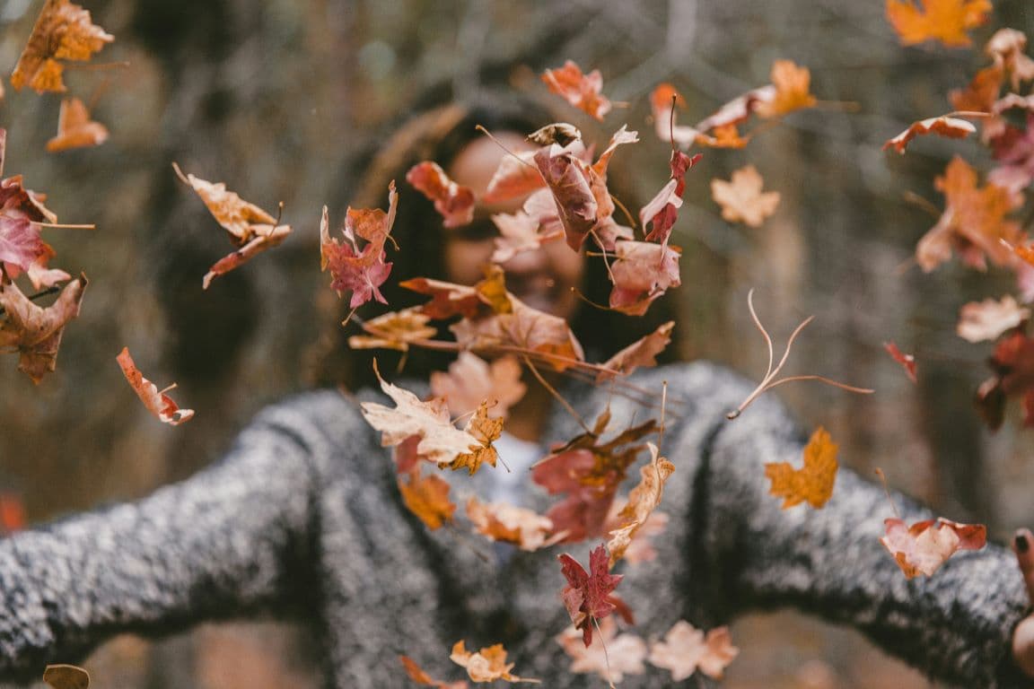 Autumn garden jobs