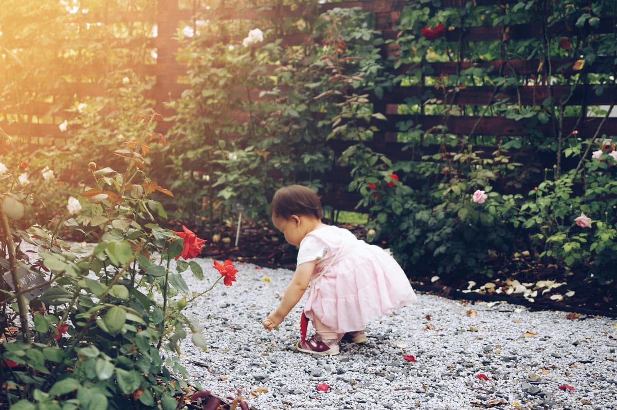 garden projects for children