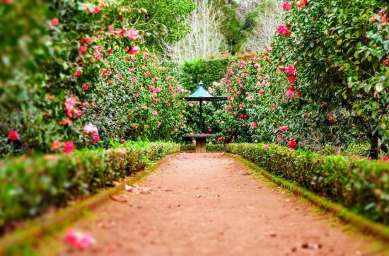 May Gardens