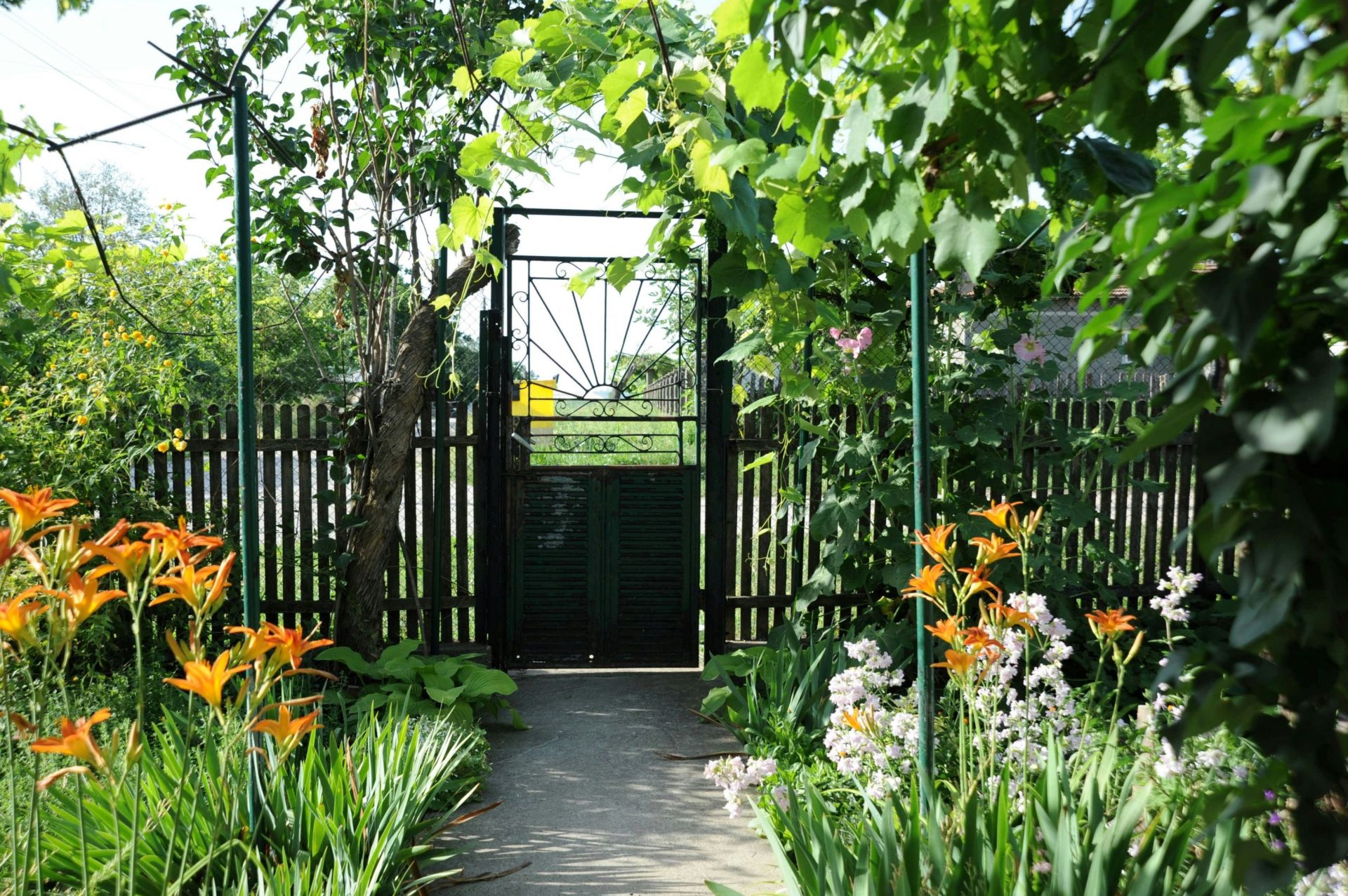 Front garden with designed fence and planting in South East England